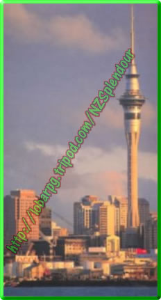 Sky Tower, Auckland's tallest structure